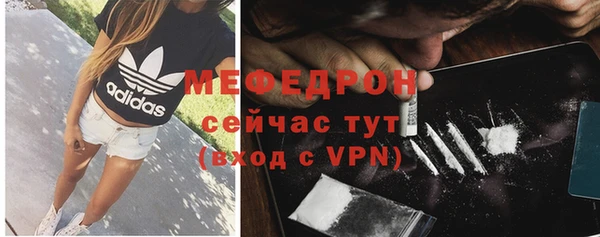 apvp Гусев