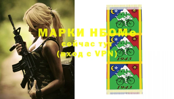 apvp Гусев