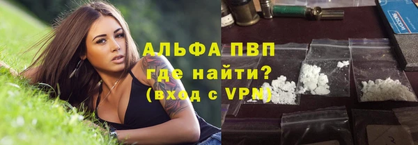 apvp Гусев