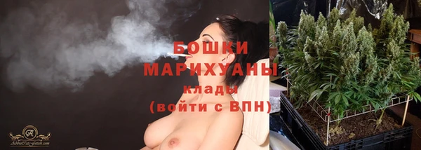 твердый Гусь-Хрустальный