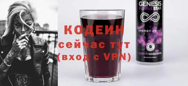 apvp Гусев