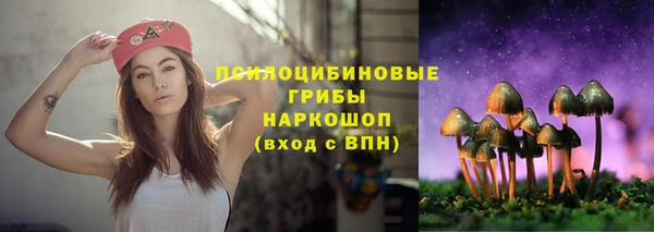 Альфа ПВП Гусиноозёрск