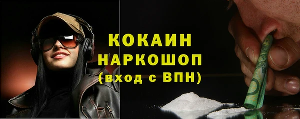apvp Гусев