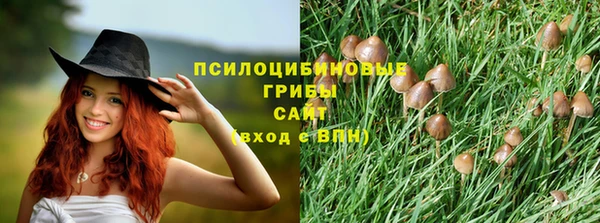 apvp Гусев