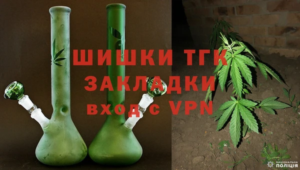 твердый Гусь-Хрустальный