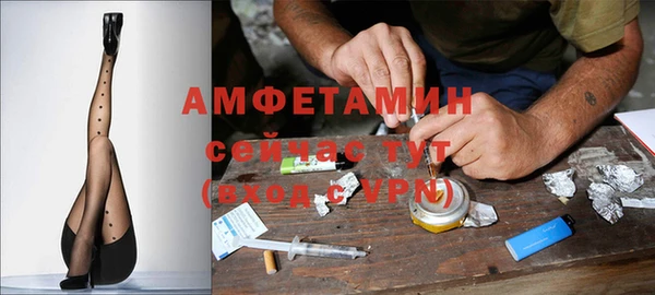 apvp Гусев