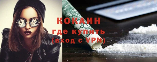 твердый Гусь-Хрустальный
