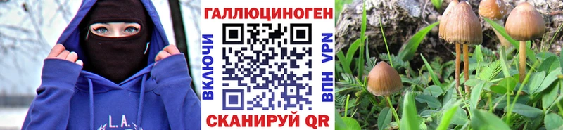Псилоцибиновые грибы мицелий  Купить где  Тайга 