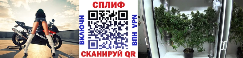 Бошки Шишки сатива  Купить где  Тайга 